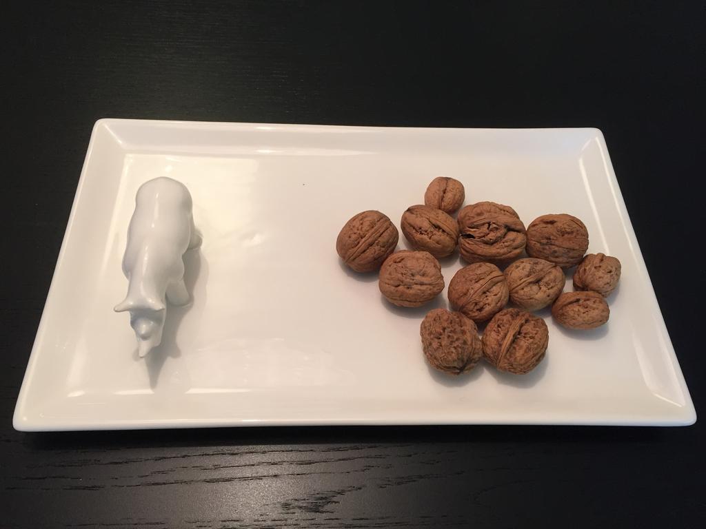 ミュンヘンCocomaアパートメント 部屋 写真